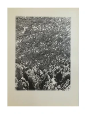 PAŠKA ČIPKA : ETNOGRAFSKI MUZEJ 