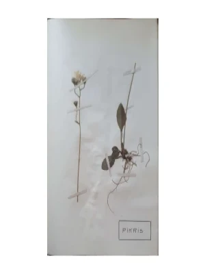 Aleksandar Semnic: Novi herbar