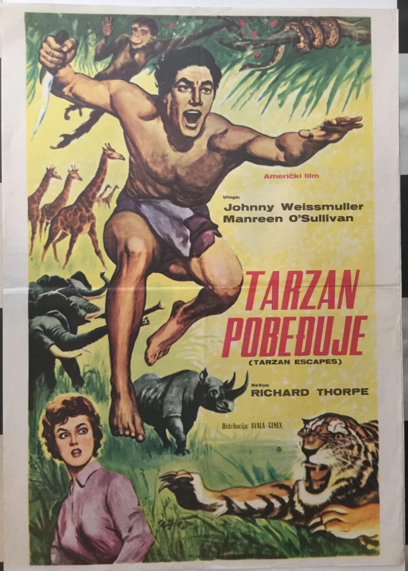 FILMSKI PLAKAT : TARZAN POBEĐUJE ( TARZAN ESCAPES )
