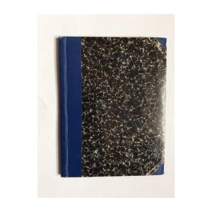 MIRKO GJURKOVEČKI,  POLITIČKA HISTORIJE BOSNE ZA OKUPACIJE, 1920.