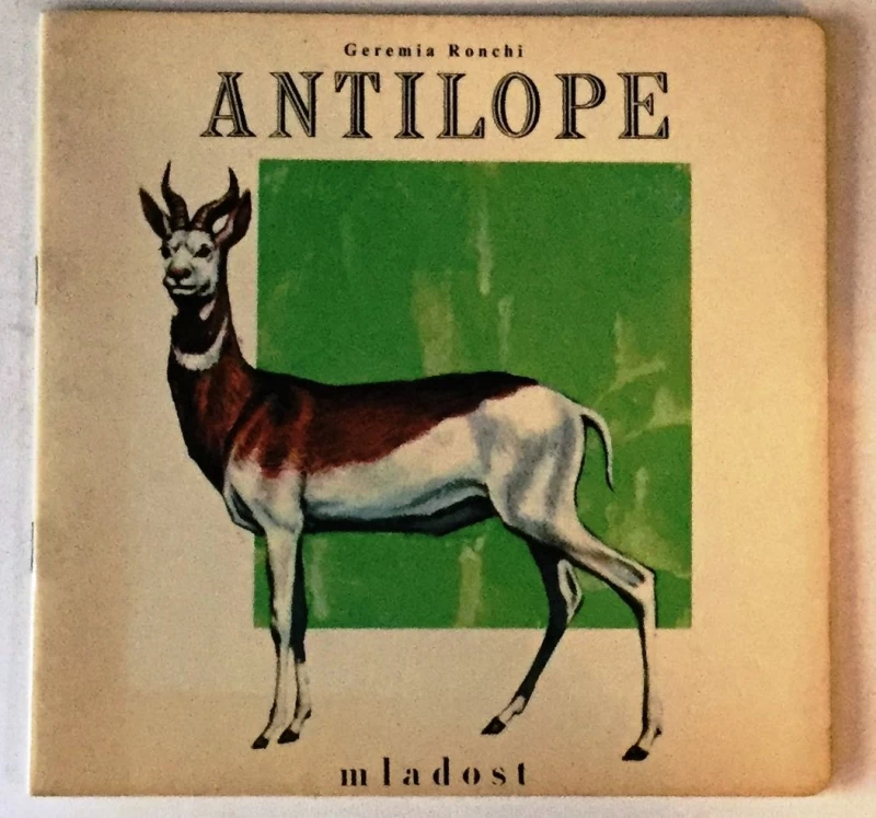 GEREMIA RONCHI : ANTILOPE