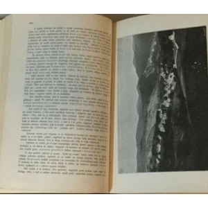 DRAGUTIN HIRC : ZEMLJOPIS HRVATSKE SLAVONIJE I DALMACIJE : LICE DOMOVINE I. KNJIGA