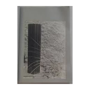 JAPANISCHE BILDHAUER AKIYAMA FUJIWARA HASHIMOTO MIKAMI NAKAJIMA SUGAWARA : JAPANSKA SUVREMENA UMJETNOST 1974.