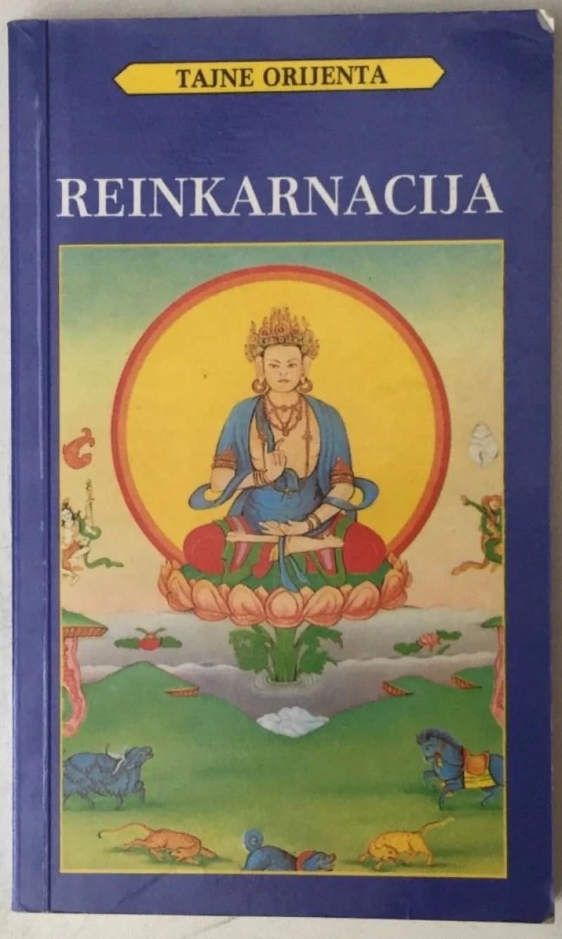 PATRIK RAVINJAN : REINKRANACIJA