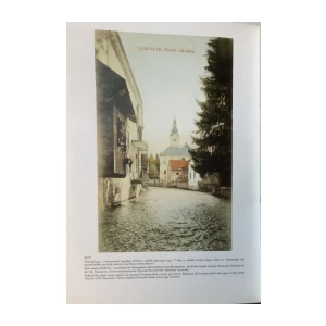 MOJ ZAGREB TAK IMAM TE RAD : MONOGRAFIJA STARIH RAZGLEDNICA ZAGREBA