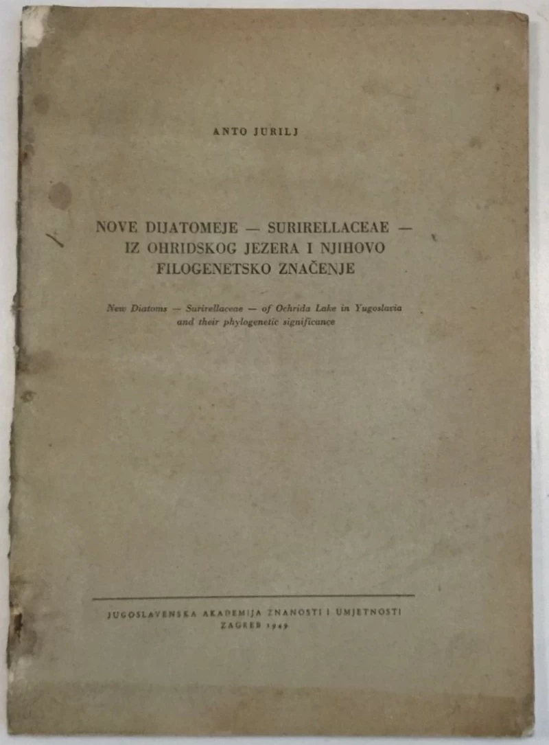 ANTO JURILJ : NOVE DIJATOMEJE-SURIRELLACEAE IZ OHRIDSKOG JEZERA I NJIHOVO FILOGENETSKO ZNAČENJE