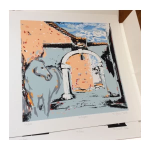 HEDA GARTNER, VRATA ISTRE, STVARNOST I SNOVI , GRAFIČKA MAPA, 51/100 SITOTISAK  33 X 33 CM, 9 LISTOVA, 2006.