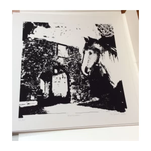 HEDA GARTNER, VRATA ISTRE, STVARNOST I SNOVI , GRAFIČKA MAPA, 51/100 SITOTISAK  33 X 33 CM, 9 LISTOVA, 2006.