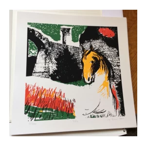 HEDA GARTNER, USNULI KAMENI ČUVARI, ISTARSKI KAŠTELI I KULE, GRAFIČKA MAMA SA 7 GRAFIKA DIMENZIJA 33 X 33 CENTIMETRA, OTISAK BROJ 67 OD 100, SITOTISAK , RIJEKA, 2007.