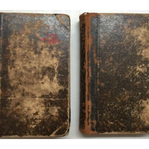 IVAN FILIPOVIĆ: NOVI RJEČNIK HRVATSKOGA I NJEMAČKOGA JEZIKA / NEUES WOERTERBUCH DER KROATISCHEN UND DEUTSCHEN SPRACHE, SASTAVIO IVAN FILIPOVIĆ, UZ SUDJELOVANJE GJURE DEŽELIĆA I LJUDEVITA MODE