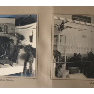 ALBUM OBLASNE GOSPODARSKE IZLOŽBE I VII. OSJEČKOG VELESAJMA U OSIJEKU, OD 31. AUGUSTA DO 8. SEPTEMBRA 1929.