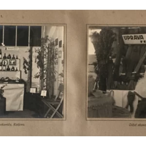 ALBUM OBLASNE GOSPODARSKE IZLOŽBE I VII. OSJEČKOG VELESAJMA U OSIJEKU, OD 31. AUGUSTA DO 8. SEPTEMBRA 1929.
