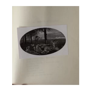 PENNELLATE I. D'ARSIERO : SIGNATURE 