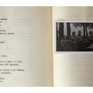 PENNELLATE I. D'ARSIERO : SIGNATURE 