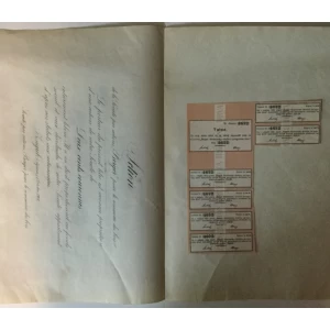 DIONICA, BERGER DIONIČARSKO DRUŽTVO ZA TRGOVINU DRVA, ZAGREB, BROJ 4672, VRIJEDNOST 200 KRUNA, 1907. GOD.