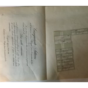 PEDESET DIONICA, BERGER DIONIČARSKO DRUŽTVO ZA TRGOVINU DRVA, ZAGREB, BROJ 14, VRIJEDNOST 10.000 KRUNA, 1907. GOD.