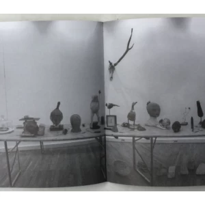 DARKO SCHNEIDER, ŽELJKO IVANJEK: JOSEPH BEUYS, JOHN CAGE, VLADIMIR DODIG TROKUT (KATALOG)