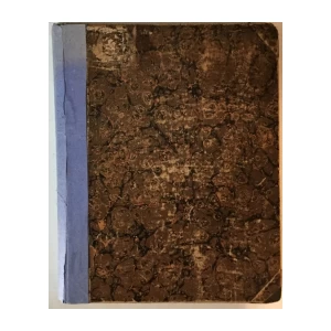 NEVEN, ZABAVNI I POUČNI LIST GOD. 1856. (PETI GODIŠNJI TEČAJ) BROJEVI 1-11