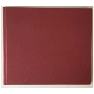 Lew Polugajewski, Anatoli Mazukewitsch: Damengambit