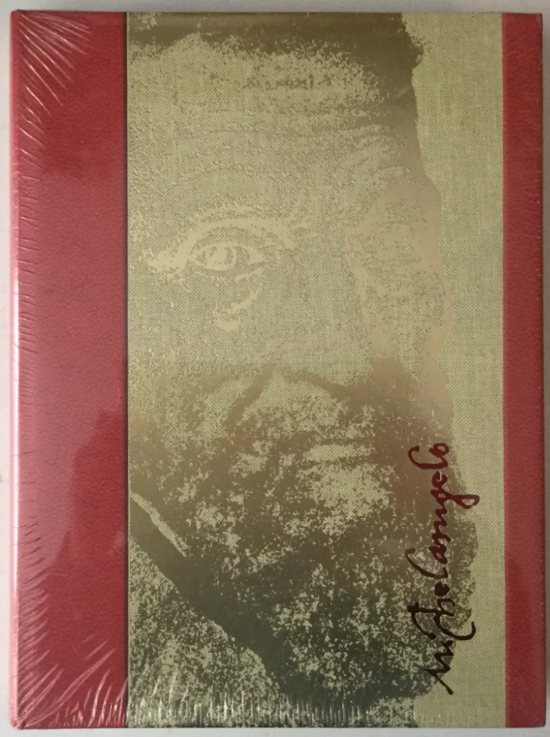 Grupa autora: Michelangelo