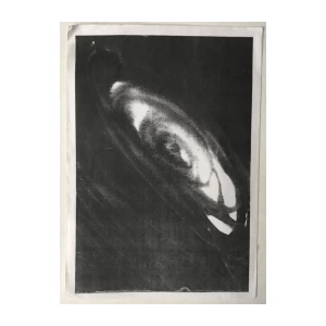 Boris Demur: Requiem in Croatia (katalog)