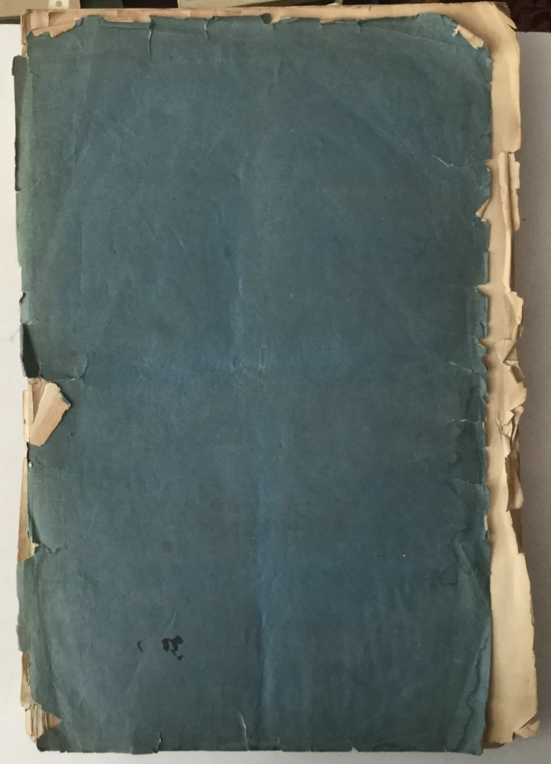 Novine dalmatinsko-hervatsko-slavonske / Narodne novine godina XV. (1849.) BR. 1-228 