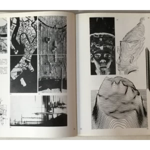 Đorđe Petrović: Vizuelna istraživanja čovekove sredine i urbani dizajn