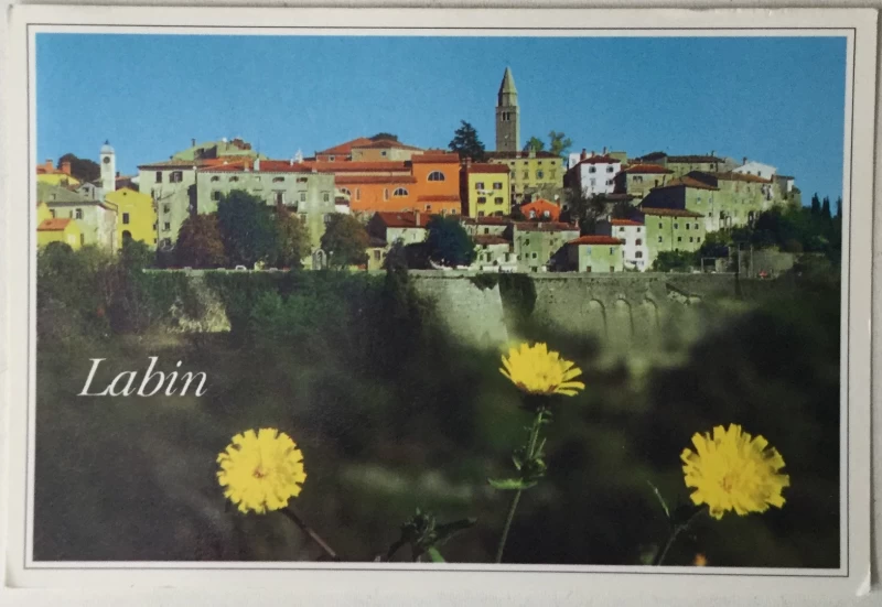 Labin: stara razglednica maslačak