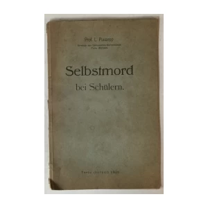 Ludvig Puusepp: Selbstmord bei Schülern