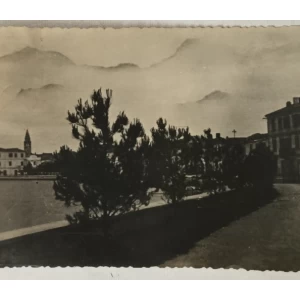 Fažana: stara razglednica borovi uz obalu