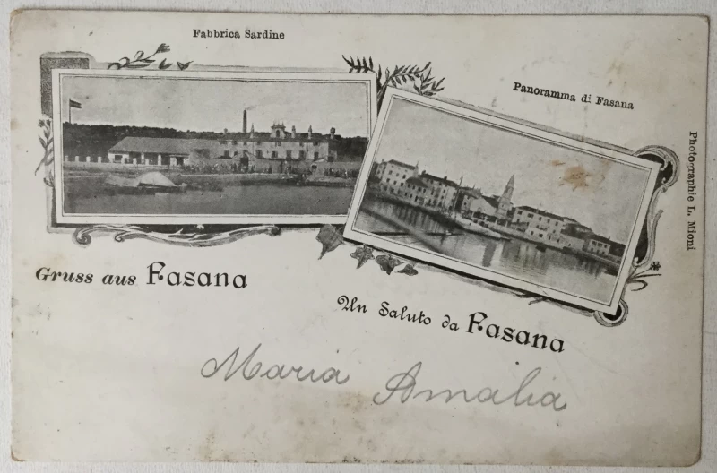 Fažana: stara razglednica Gruss aus Fasana / Un Saluto da Fasana