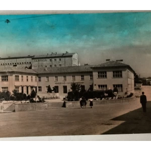 Buje: stara razglednica Zadružni dom plavi pigment