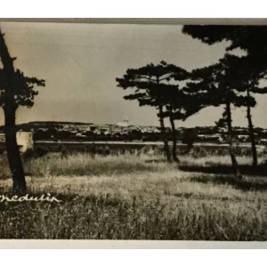 Medulin: stara razglednica panorama iz borova