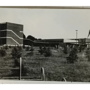 Novigrad: stara razglednica hotel