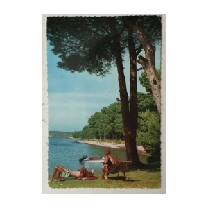 Medulin: stara razglednica uz more pod borom