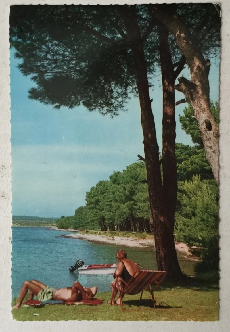 Medulin: stara razglednica uz more pod borom