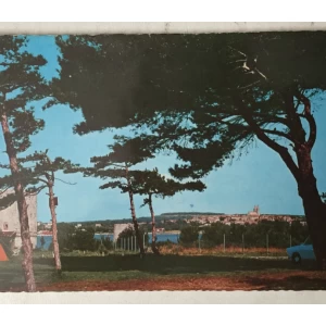 Medulin: stara razglednica panorama i borovi