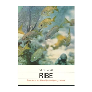 Erl S. Herald: Ribe