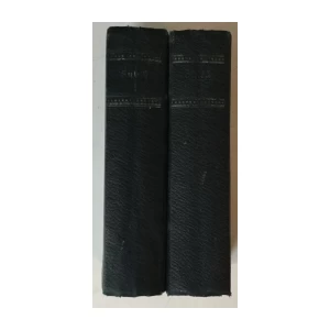 Bogoslav Šulek: Njemačko-hrvatski rječnik I-II