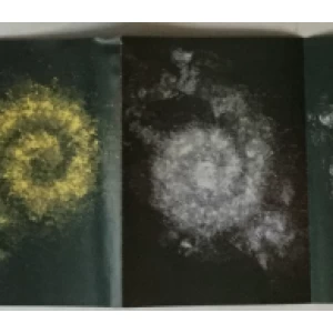 Demur, Croatia, 23nd International Biennial of Sao Paulo 1996. (katalog)