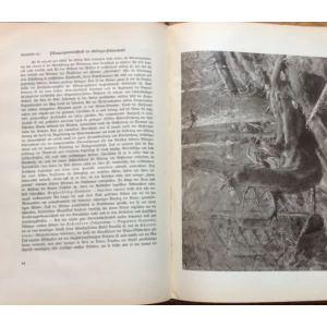 KURT DIETERICH, SUŽIVOT SA ŠUMOM, - AUS DER LEBENSGEMEINSCHAFT DES WALDES, MUNCHEN, 1939.