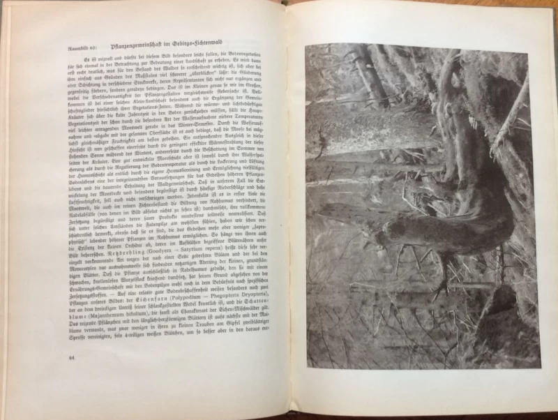 KURT DIETERICH, SUŽIVOT SA ŠUMOM, - AUS DER LEBENSGEMEINSCHAFT DES WALDES, MUNCHEN, 1939.