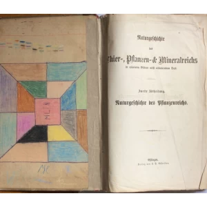 SCHUBERT, NATURGESCHICHTE DES THIER PFLANZEN UND MINERALTREICHS, ZWEITE ABTHAILUNG, NATURGESCHICHTE DES  PFLANZENREICHS, ESLINGEN, 1869.