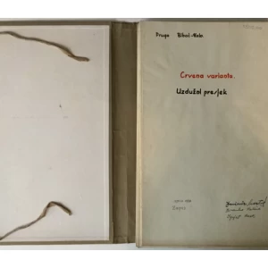 Diplomski rad, Projekt pruge Bihač - Knin