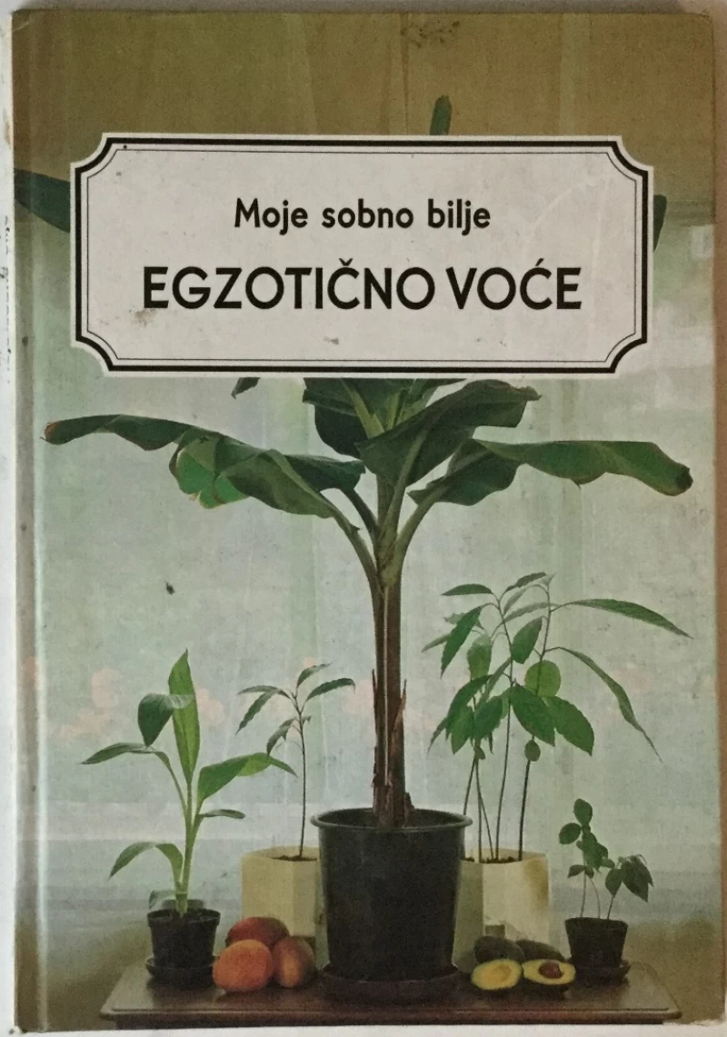 Moje sobno bilje, Egzotično voće