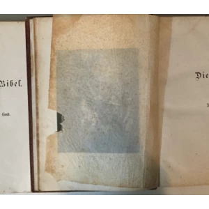 Die Bibel 1-2 aus der Vulgata mit zweihundert und dreissig Bildern von Gustave Doré