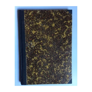 MILUTIN STEPANOVIĆ, SRBI I BUGARI U PROŠLOSTI I SADAŠNJOSTI, LJUBLJANA, 1924