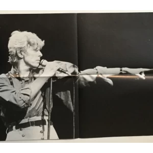 Poster iz Džuboksa, David Bowie, dvostrani 2