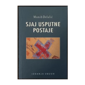 Munib Delalić: Sjaj usputne postaje