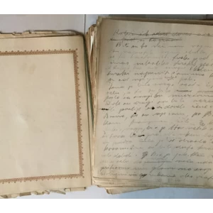 Josip Freudenreich: Originalni rukopis romana Aliagino dijete